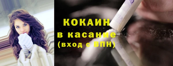 крисы Богородск