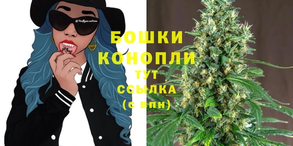 крисы Богородск