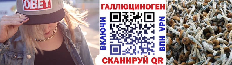 мега tor  Кировград  Псилоцибиновые грибы мицелий  купить наркоту 
